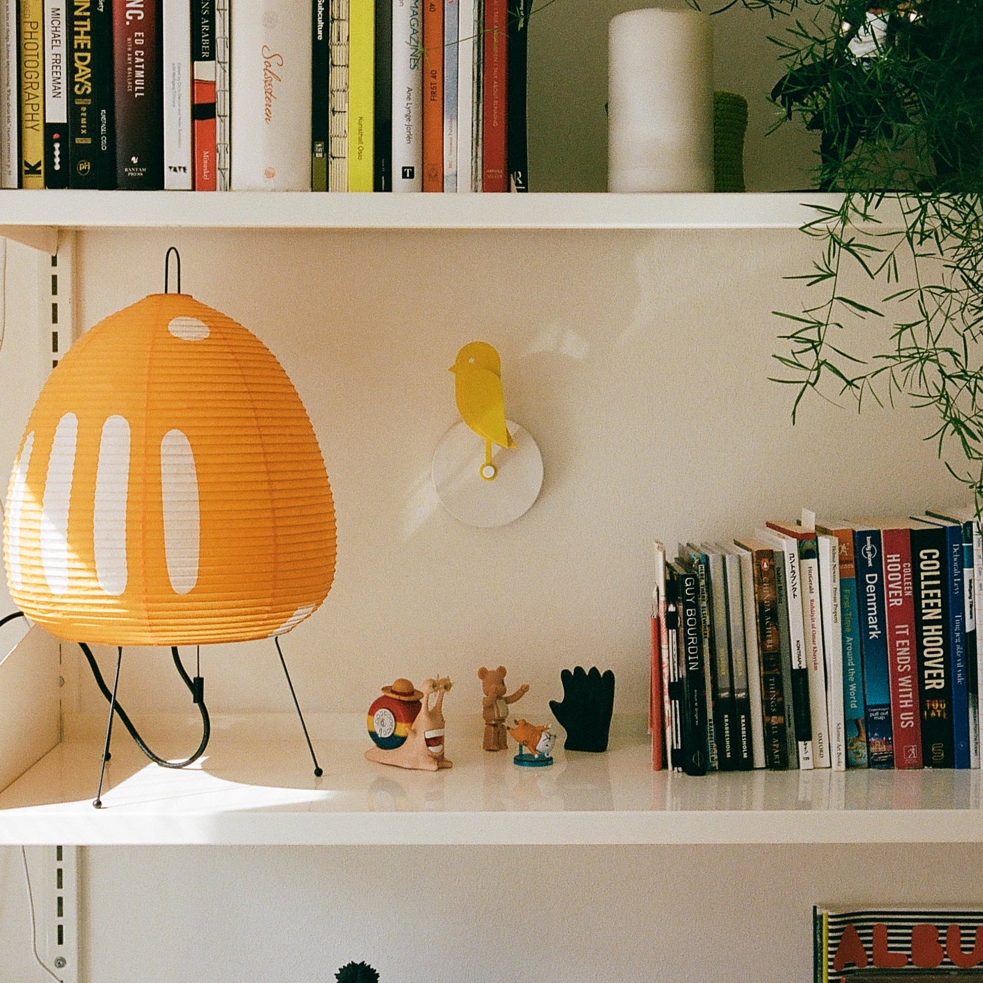Birdie 2.0 Fresh Air Monitor — on a shelf, photo by Mounir Hammoumi