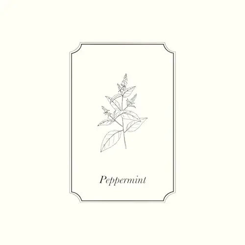 Peppermint Essential Oil: 10ml