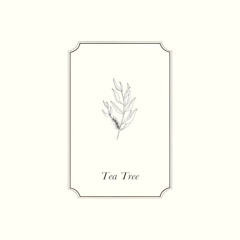 Tea Tree Essential Oil: 10ml