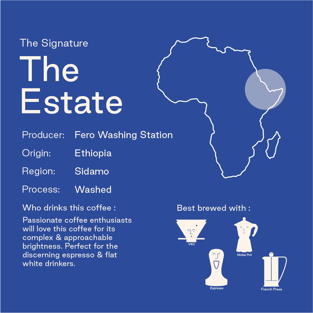 The Estate, Ethiopia: Single Origin Ground Coffee: 250g / Espresso