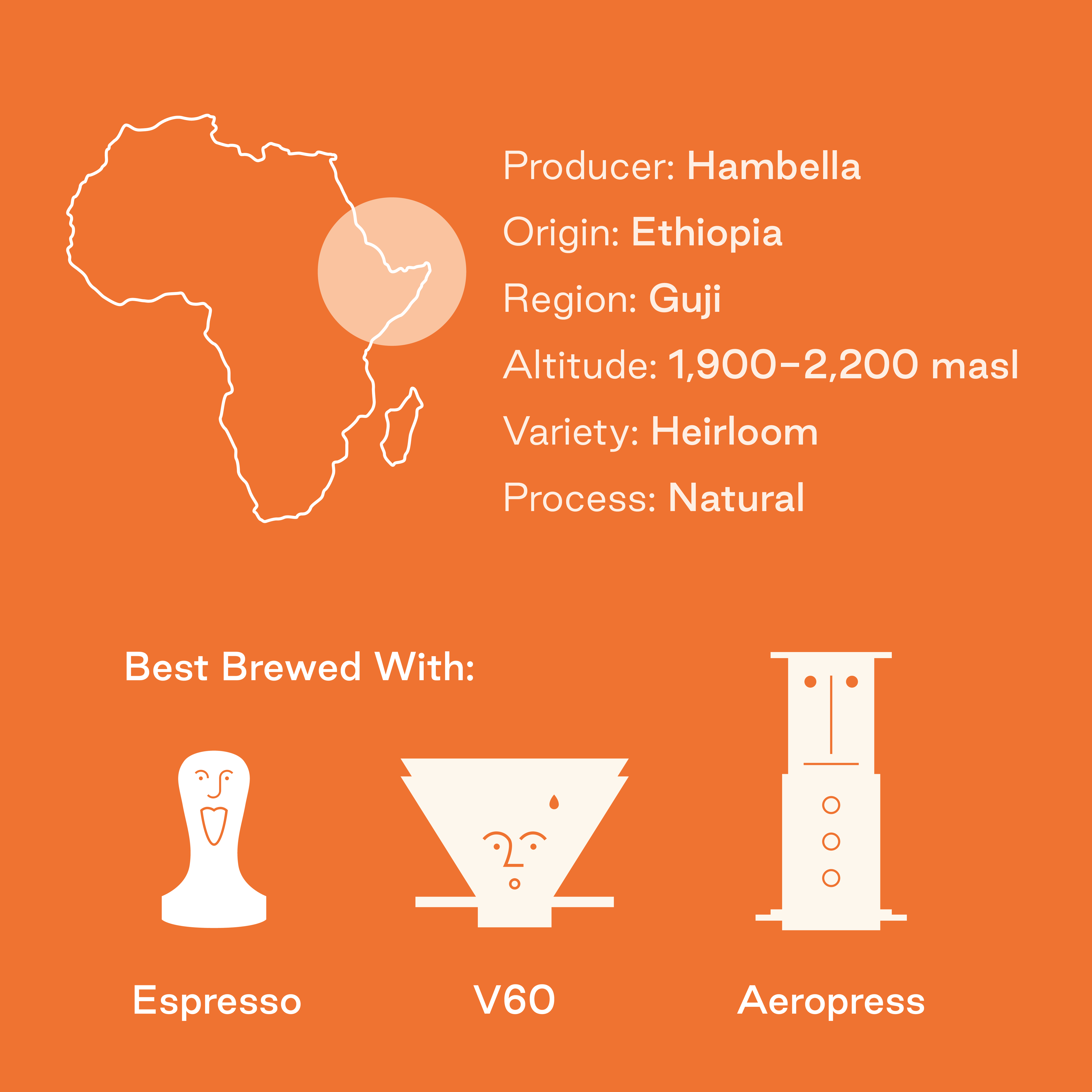 The Fields, Ethiopia: Natural Single Origin Coffee Beans: 250g